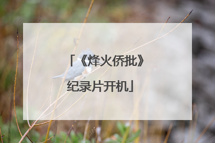 《烽火侨批》纪录片开机
