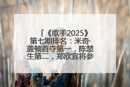 《歌手2025》第七期排名：米奇·盖顿首夺第一，陈楚生第二，郑欣宜将参加下一轮张榜赛