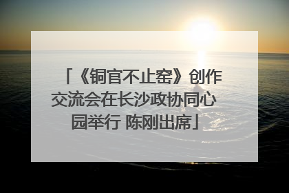 《铜官不止窑》创作交流会在长沙政协同心园举行 陈刚出席