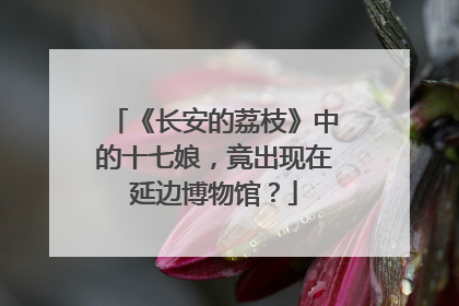 《长安的荔枝》中的十七娘，竟出现在延边博物馆？