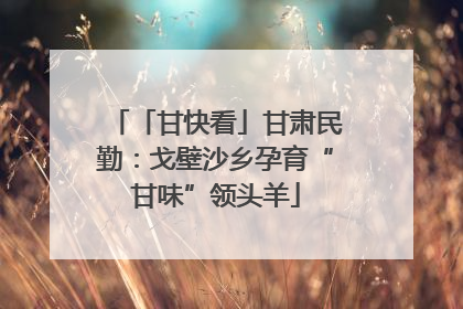 「甘快看」甘肃民勤：戈壁沙乡孕育“甘味”领头羊