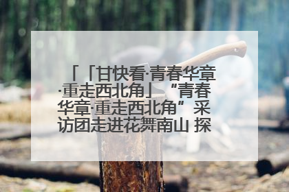 「甘快看·青春华章·重走西北角」“青春华章·重走西北角”采访团走进花舞南山 探寻天水乡村振兴之路
