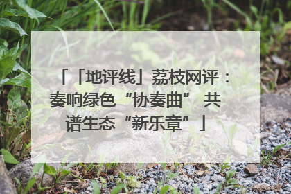 「地评线」荔枝网评：奏响绿色“协奏曲” 共谱生态“新乐章”