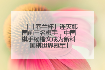 「春兰杯」连灭韩国前三名棋手，中国棋手杨楷文成为新科围棋世界冠军