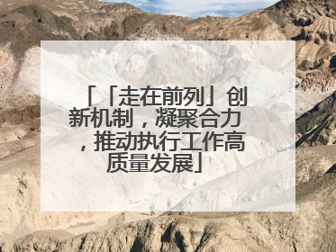 「走在前列」创新机制，凝聚合力，推动执行工作高质量发展