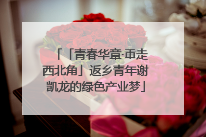 「青春华章·重走西北角」返乡青年谢凯龙的绿色产业梦