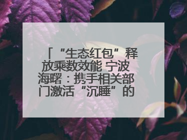 “生态红包”释放乘数效能 宁波海曙：携手相关部门激活“沉睡”的公益损害赔偿金