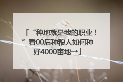 “种地就是我的职业！”看00后种粮人如何种好4000亩地→