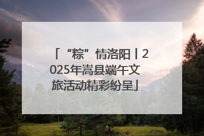 “粽”情洛阳丨2025年嵩县端午文旅活动精彩纷呈
