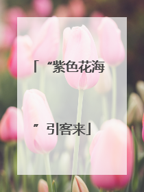 “紫色花海”引客来