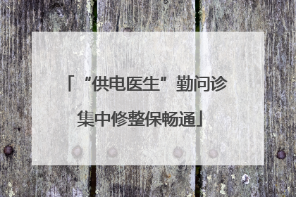 “供电医生”勤问诊 集中修整保畅通