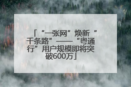 “一张网”焕新“千条路”——“粤通行”用户规模即将突破600万