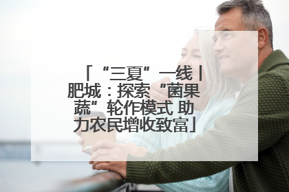 “三夏”一线丨肥城：探索“菌果蔬”轮作模式 助力农民增收致富