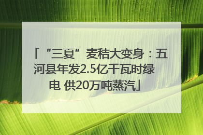 “三夏”麦秸大变身：五河县年发2.5亿千瓦时绿电 供20万吨蒸汽