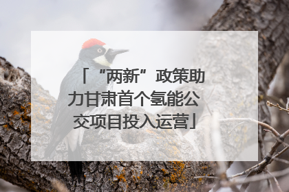 “两新”政策助力甘肃首个氢能公交项目投入运营