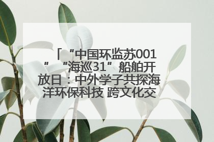 “中国环监苏001”“海巡31”船舶开放日：中外学子共探海洋环保科技 跨文化交流筑牢“蓝色”友谊