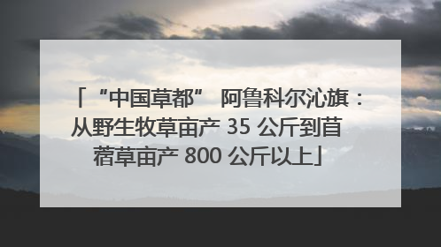 “中国草都” 阿鲁科尔沁旗：从野生牧草亩产 35 公斤到苜蓿草亩产 800 公斤以上