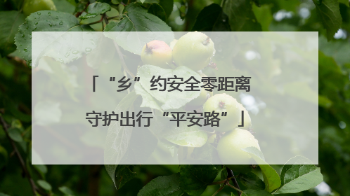 “乡”约安全零距离 守护出行“平安路”