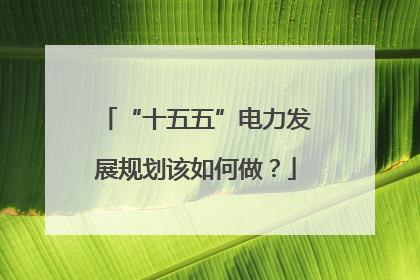“十五五”电力发展规划该如何做？