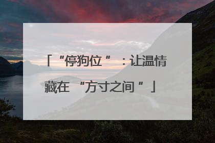 “停狗位 ”：让温情藏在 “方寸之间 ”