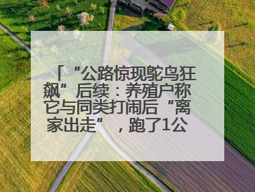 “公路惊现鸵鸟狂飙”后续：养殖户称它与同类打闹后“离家出走”，跑了1公里被找回
