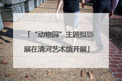 “动物园”主题摄影展在清河艺术馆开展
