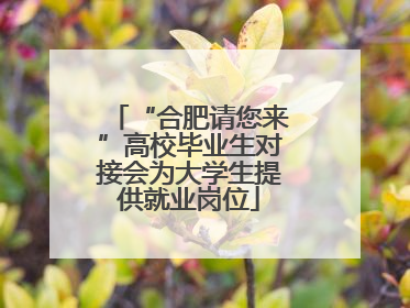 “合肥请您来”高校毕业生对接会为大学生提供就业岗位
