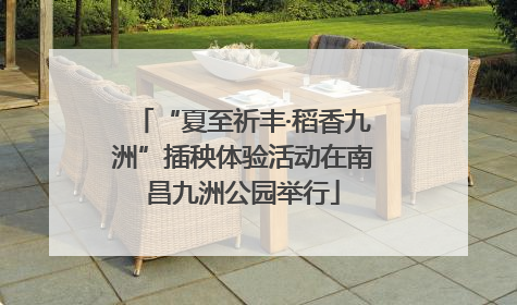 “夏至祈丰·稻香九洲”插秧体验活动在南昌九洲公园举行