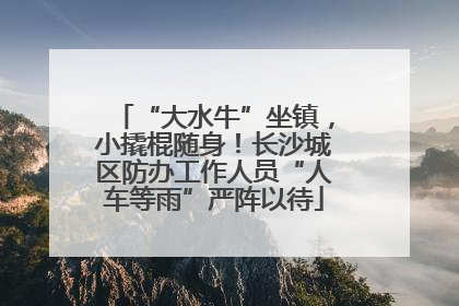 “大水牛”坐镇，小撬棍随身！长沙城区防办工作人员“人车等雨”严阵以待