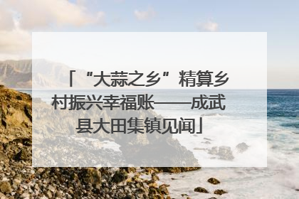 “大蒜之乡”精算乡村振兴幸福账——成武县大田集镇见闻