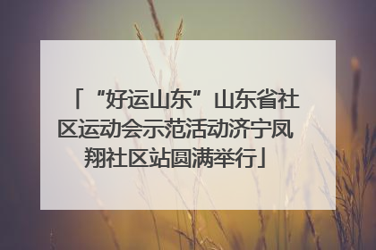 “好运山东”山东省社区运动会示范活动济宁凤翔社区站圆满举行