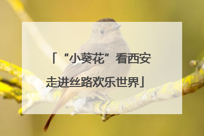 “小葵花”看西安走进丝路欢乐世界