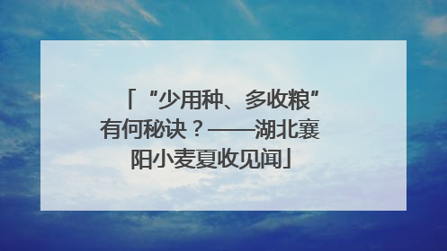 “少用种、多收粮”有何秘诀？——湖北襄阳小麦夏收见闻