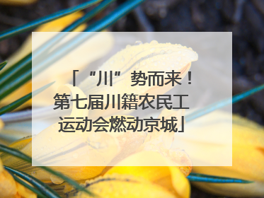 “川”势而来！第七届川籍农民工运动会燃动京城