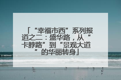 “幸福市西”系列报道之二：盛华路，从“卡脖路”到“景观大道”的华丽转身