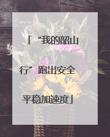 “我的韶山行”跑出安全平稳加速度