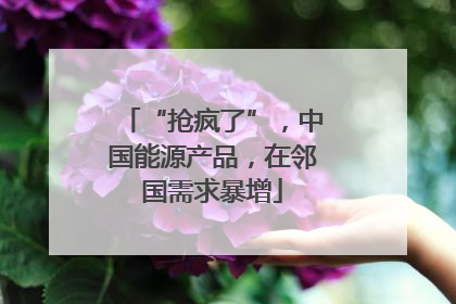 “抢疯了”，中国能源产品，在邻国需求暴增