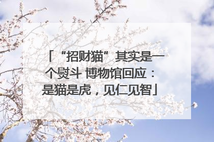 “招财猫”其实是一个熨斗 博物馆回应：是猫是虎，见仁见智