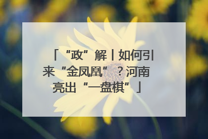 “政”解丨如何引来“金凤凰”？河南亮出“一盘棋”