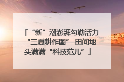 “新”潮澎湃勾勒活力“三夏耕作图” 田间地头满满“科技范儿”