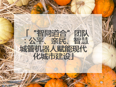 “智同道合”团队：公平、亲民、智慧城管机器人赋能现代化城市建设