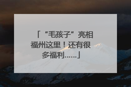 “毛孩子”亮相福州这里！还有很多福利……