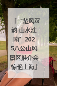 “楚风汉韵 山水淮南”2025八公山风景区推介会惊艳上海