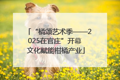 “橘颂艺术季——2025在官庄”开幕 文化赋能柑橘产业