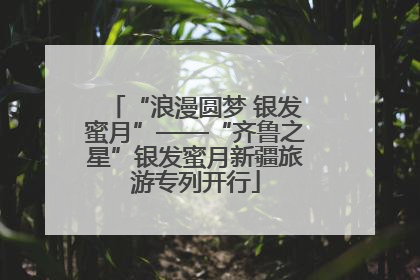 “浪漫圆梦 银发蜜月”——“齐鲁之星”银发蜜月新疆旅游专列开行