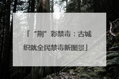“荆”彩禁毒：古城织就全民禁毒新图景