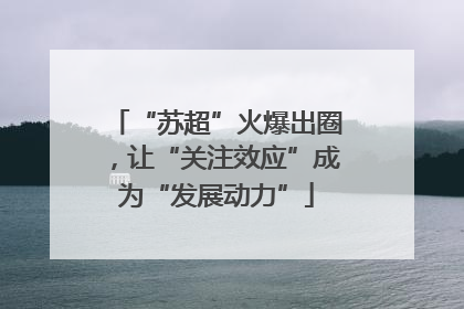 “苏超”火爆出圈，让“关注效应”成为“发展动力”