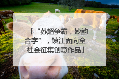 “苏超争霸，妙韵合字”，镇江面向全社会征集创意作品