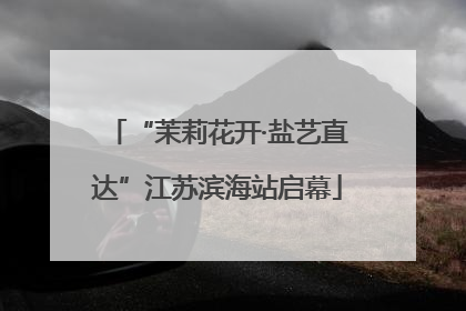 “茉莉花开·盐艺直达”江苏滨海站启幕