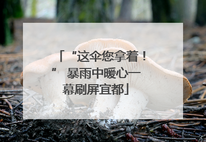 “这伞您拿着！” 暴雨中暖心一幕刷屏宜都